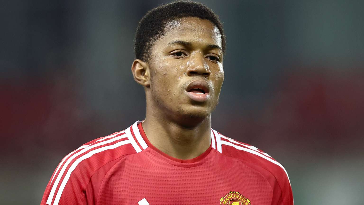 豪格戴帽 豪格戴帽